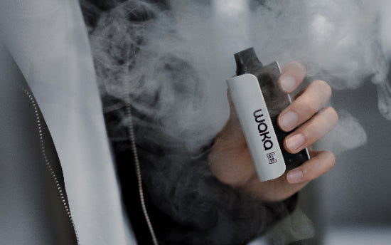 DUALMESH™ — Everything You Should Know