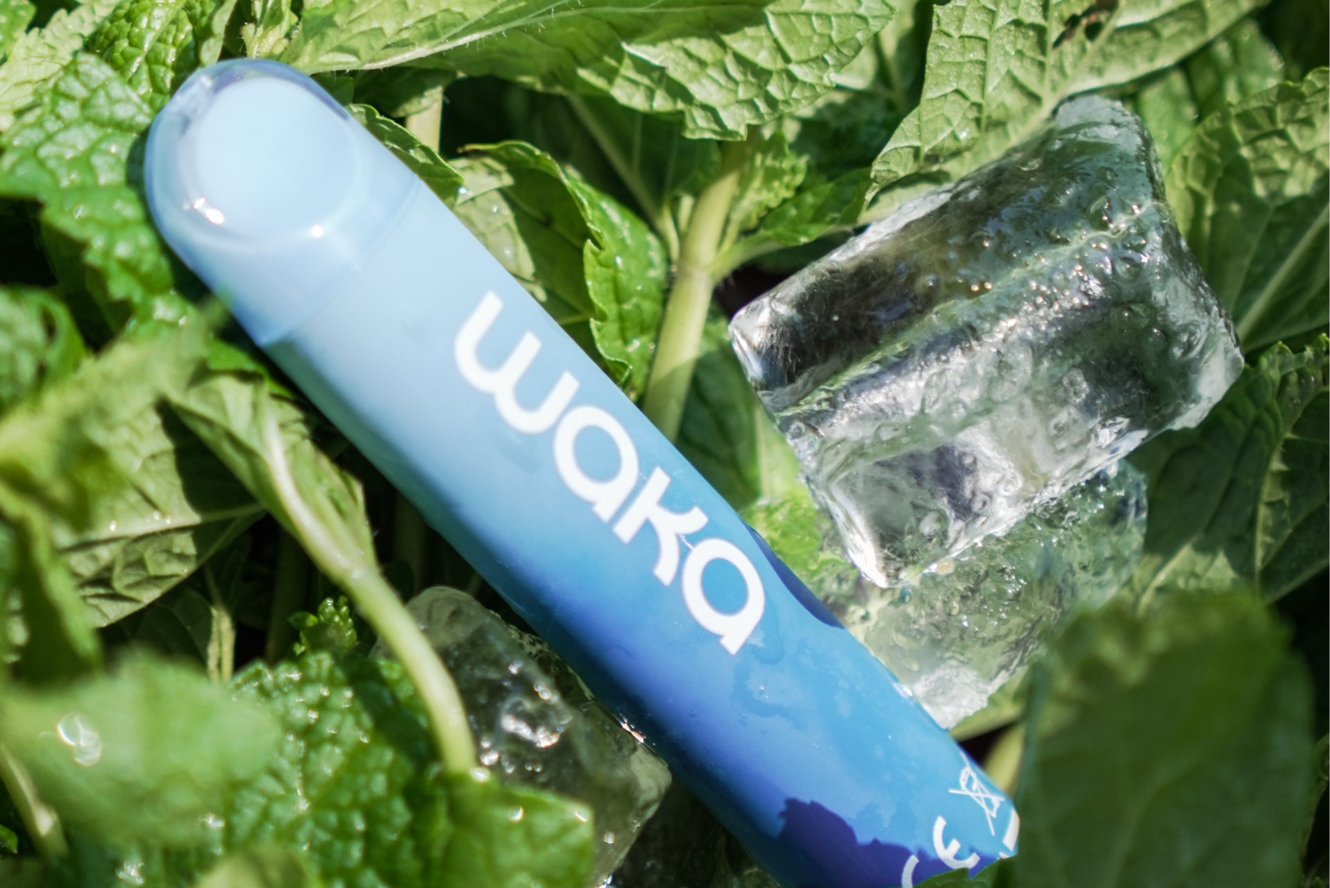 How Many Calories Are in a Disposable Vape & Does It Matter?