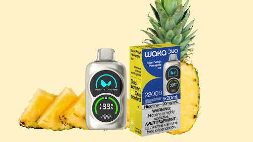 Refreshing Pina Colada Vape Flavors to Try – Canadian Vaper's