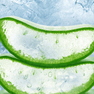 WAKA soPro DM8000i Aloe Ice Icy Selection WAKA_soPro_DM8000i_Aloe_Ice_waka-sopro-dm8000i

