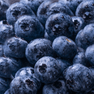 WAKA soPro DM8000i WAKA_soPro_DM8000i_Blueberry_Splash_waka-sopro-dm8000i

