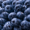 WAKA soPro DM8000i - Federal Stamp / Blueberry Splash