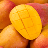 WAKA soPro DM8000i - Federal Stamp / Mango Ice